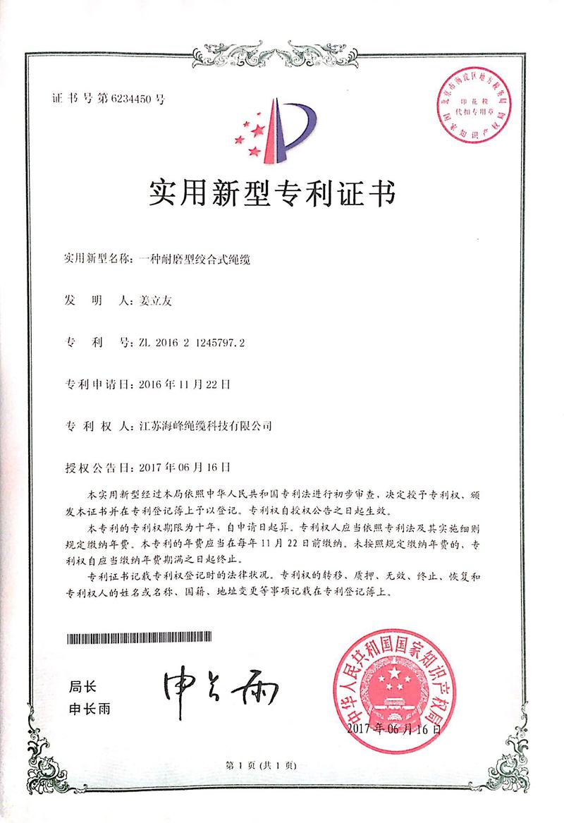 19專(zhuān)利-10