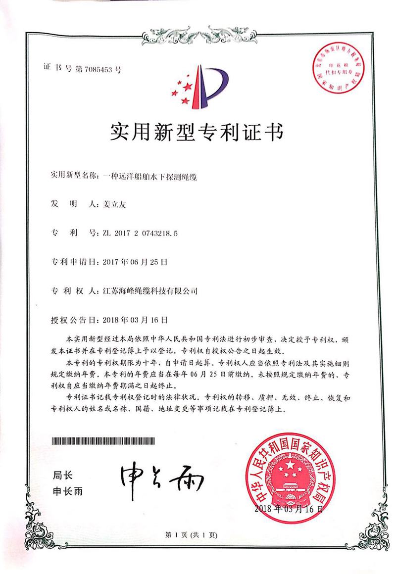 19專(zhuān)利-16
